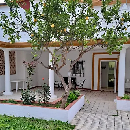 Villa Rosa En Primera Linea De Playa Conil De La Frontera